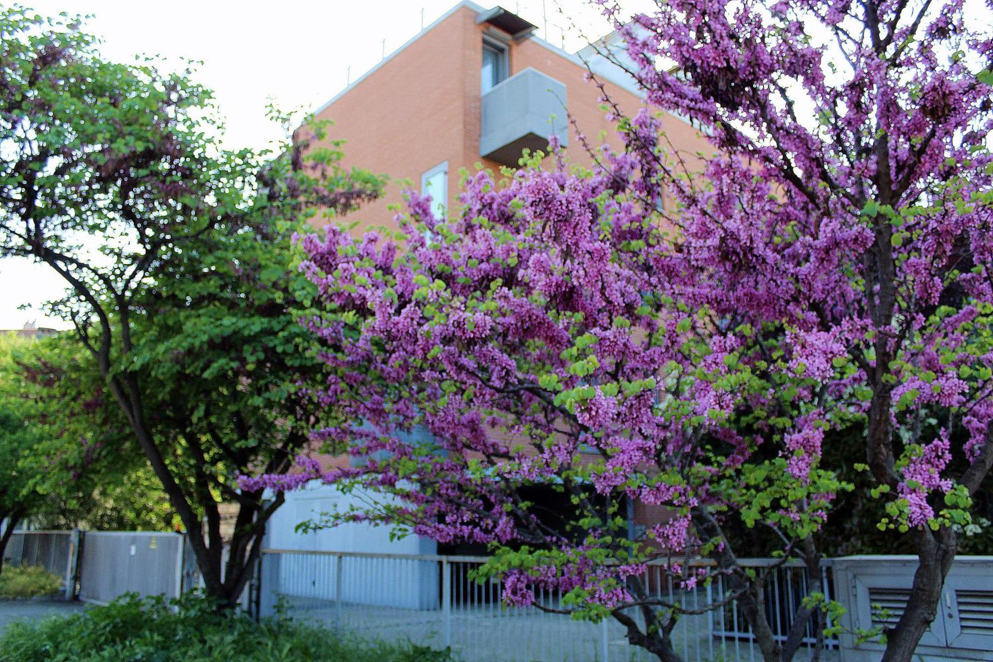 Appartamento Levante Bologne Extérieur photo